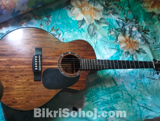 Model: Tayste J35 A equlizer